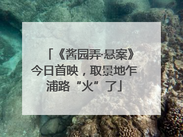 《酱园弄·悬案》今日首映，取景地乍浦路“火”了