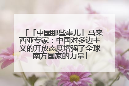 「中国那些事儿」马来西亚专家：中国对多边主义的开放态度增强了全球南方国家的力量