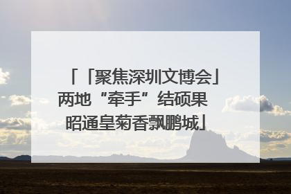 「聚焦深圳文博会」两地“牵手”结硕果 昭通皇菊香飘鹏城
