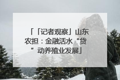 「记者观察」山东农担：金融活水“贷”动养殖业发展