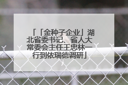 「金种子企业」湖北省委书记、省人大常委会主任王忠林一行到依瑞德调研