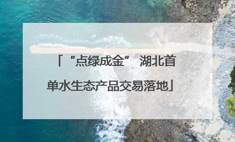 “点绿成金” 湖北首单水生态产品交易落地