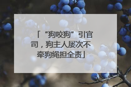 “狗咬狗”引官司，狗主人屡次不牵狗绳担全责