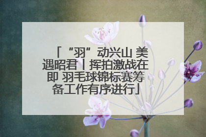 “羽”动兴山 美遇昭君丨挥拍激战在即 羽毛球锦标赛筹备工作有序进行