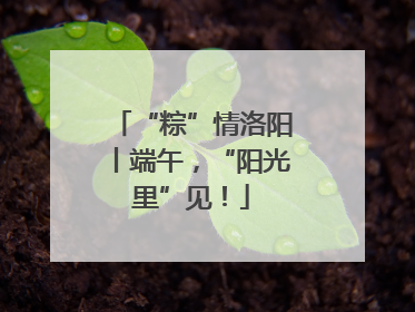 “粽”情洛阳丨端午，“阳光里”见！