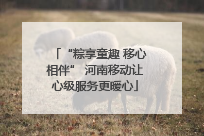 “粽享童趣 移心相伴” 河南移动让心级服务更暖心