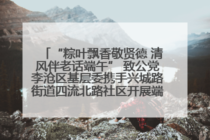 “粽叶飘香敬贤德 清风伴老话端午” 致公党李沧区基层委携手兴城路街道四流北路社区开展端午节主题活动