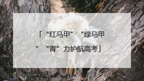 “红马甲”“绿马甲”“青”力护航高考