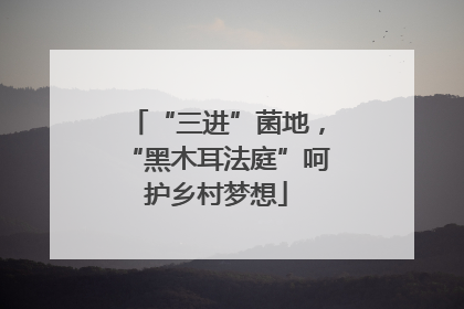 “三进”菌地，“黑木耳法庭”呵护乡村梦想