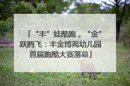 “丰”娃酷跑，“金”跃腾飞：丰金博苑幼儿园首届跑酷大赛落幕