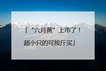 “六月黄”上市了！超小只的可按斤买