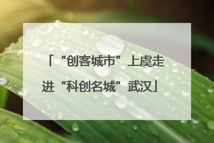 “创客城市”上虞走进“科创名城”武汉