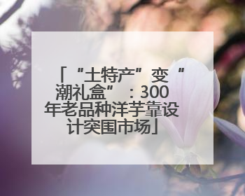 “土特产”变“潮礼盒”：300年老品种洋芋靠设计突围市场