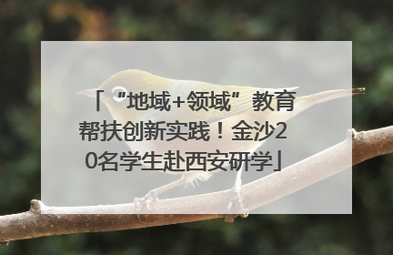 “地域+领域”教育帮扶创新实践！金沙20名学生赴西安研学