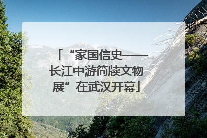 “家国信史——长江中游简牍文物展”在武汉开幕