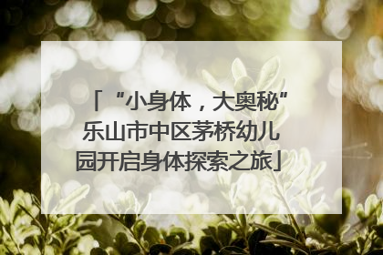“小身体，大奥秘” 乐山市中区茅桥幼儿园开启身体探索之旅
