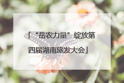 “岳农力量”绽放第四届湖南旅发大会