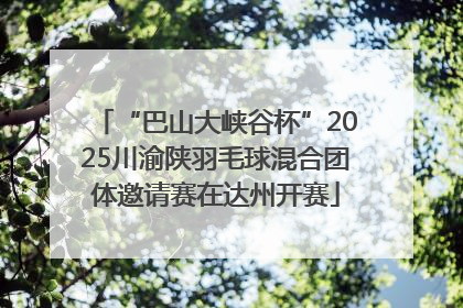 “巴山大峡谷杯”2025川渝陕羽毛球混合团体邀请赛在达州开赛