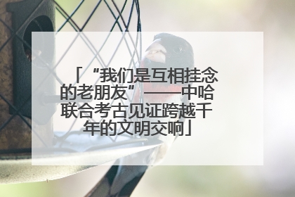 “我们是互相挂念的老朋友”——中哈联合考古见证跨越千年的文明交响