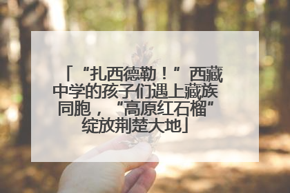 “扎西德勒！”西藏中学的孩子们遇上藏族同胞，“高原红石榴”绽放荆楚大地