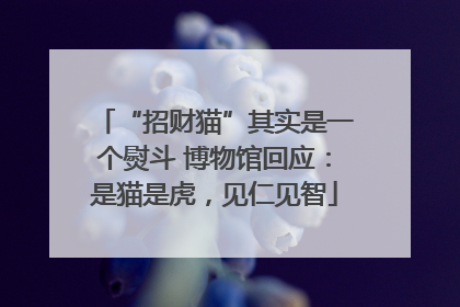 “招财猫”其实是一个熨斗 博物馆回应：是猫是虎，见仁见智