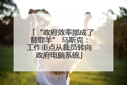“政府效率部成了替罪羊” 马斯克：工作重点从裁员转向政府电脑系统
