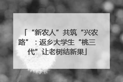 “新农人”共筑“兴农路”：返乡大学生“桃三代”让老树结新果