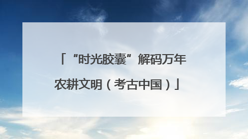 “时光胶囊”解码万年农耕文明（考古中国）