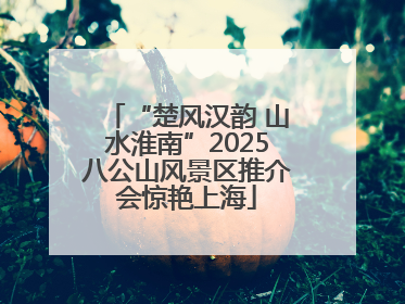 “楚风汉韵 山水淮南”2025八公山风景区推介会惊艳上海