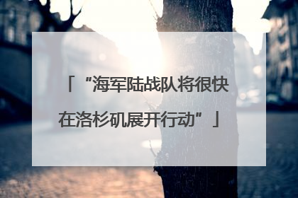“海军陆战队将很快在洛杉矶展开行动”