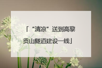 “清凉”送到高黎贡山隧道建设一线