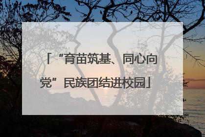 “育苗筑基、同心向党”民族团结进校园