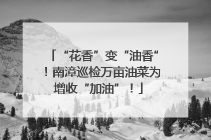 “花香”变“油香”！南漳巡检万亩油菜为增收“加油”！
