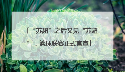 “苏超”之后又见“苏超”，篮球联赛正式官宣