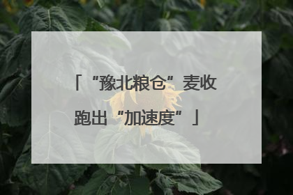 “豫北粮仓”麦收跑出“加速度”