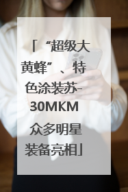 “超级大黄蜂”、特色涂装苏-30MKM 众多明星装备亮相