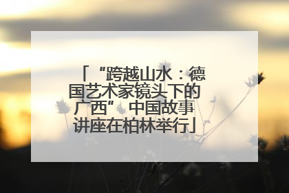 “跨越山水：德国艺术家镜头下的广西” 中国故事讲座在柏林举行