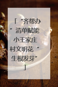“齐帮办”清单赋能 小王家庄村文明花“生根发芽”