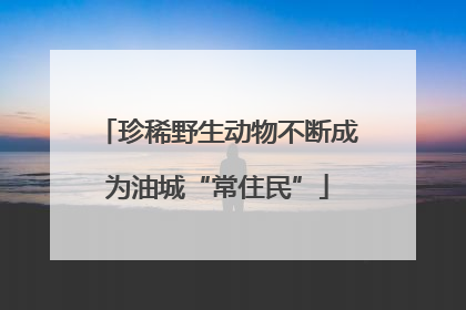 珍稀野生动物不断成为油城“常住民”