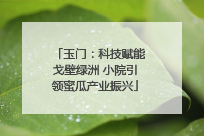 玉门：科技赋能戈壁绿洲 小院引领蜜瓜产业振兴