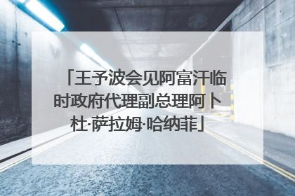 王予波会见阿富汗临时政府代理副总理阿卜杜·萨拉姆·哈纳菲