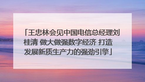 王忠林会见中国电信总经理刘桂清 做大做强数字经济 打造发展新质生产力的强劲引擎