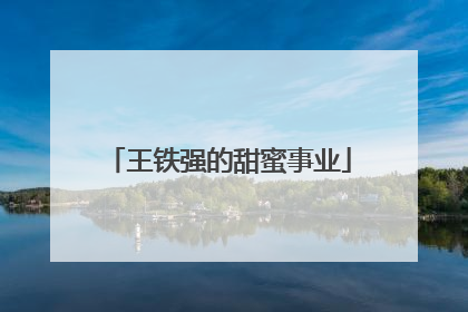 王铁强的甜蜜事业