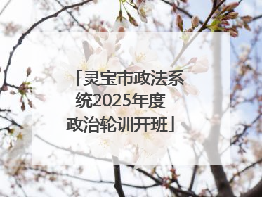 灵宝市政法系统2025年度政治轮训开班