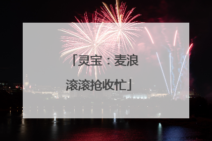 灵宝：麦浪滚滚抢收忙