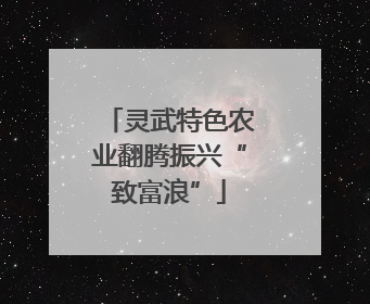 灵武特色农业翻腾振兴“致富浪”