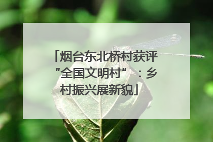 烟台东北桥村获评“全国文明村”：乡村振兴展新貌