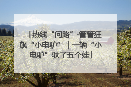热线“问路”·管管狂飙“小电驴”｜一辆“小电驴”驮了五个娃