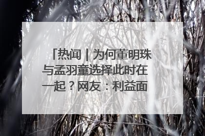 热闻｜为何董明珠与孟羽童选择此时在一起？网友：利益面前啥都能和解