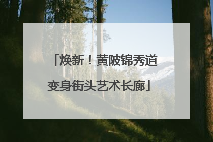 焕新！黄陂锦秀道变身街头艺术长廊